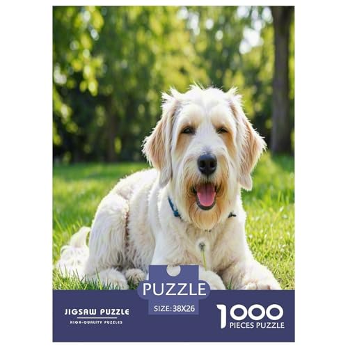 Irischer Terrier 1000-teiliges Kleine Tierhunde Puzzles Premium Quality Pädagogisch - Home Room Decoration Erwachsene Und Kinder Wertvoll Geschenk Für 38x26cm/1000pcs Irischer Terrier 1000-teiliges Kleine Tierhunde Puzzles Premium Quality Pädagogisch - Home Room Decoration Erwachsene Und Kinder Wertvoll Geschenk Für 38x26cm/1000pcs von MMDASBVPE