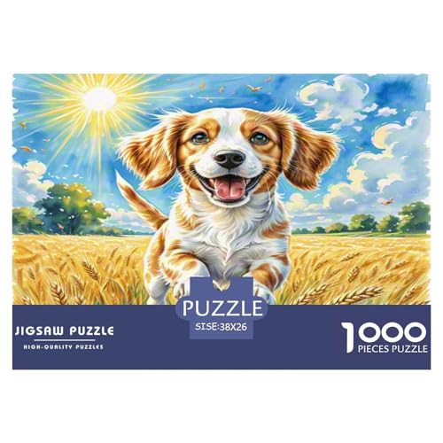 King Charles Spaniel 1000 Teile Kleine Tierhunde Puzzles Premium Quality Pädagogisch - Home Room Decoration Erwachsene Und Kinder Geschenk Für Von 12 Jahren 38x26cm/1000pcs King Charles Spaniel 1000 Teile Kleine Tierhunde Puzzles Premium Quality Pädagogisch - Home Room Decoration Erwachsene Und Kinder Geschenk Für Von 12 Jahren 38x26cm/1000pcs von MMDASBVPE