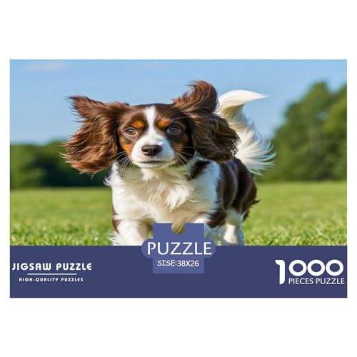 King Charles Spaniel 1000-teiliges Kleine Tierhunde Puzzles Premium Quality Familienspiel - Home Room Decoration Erwachsene Und Kinder Wertvoll Geschenk Für 38x26cm/1000pcs King Charles Spaniel 1000-teiliges Kleine Tierhunde Puzzles Premium Quality Familienspiel - Home Room Decoration Erwachsene Und Kinder Wertvoll Geschenk Für 38x26cm/1000pcs von MMDASBVPE