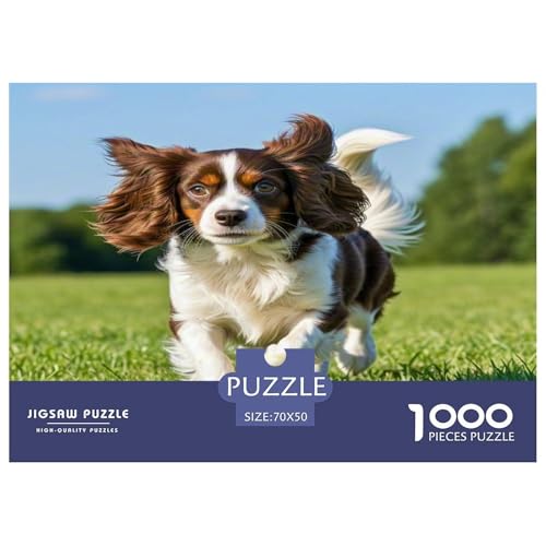 King Charles Spaniel 1000-teiliges Kleine Tierhunde Puzzles Premium Quality Pädagogisch - Home Room Decoration Erwachsene Und Kinder Wertvoll Geschenk Für 70x50cm/1000pcs King Charles Spaniel 1000-teiliges Kleine Tierhunde Puzzles Premium Quality Pädagogisch - Home Room Decoration Erwachsene Und Kinder Wertvoll Geschenk Für 70x50cm/1000pcs von MMDASBVPE
