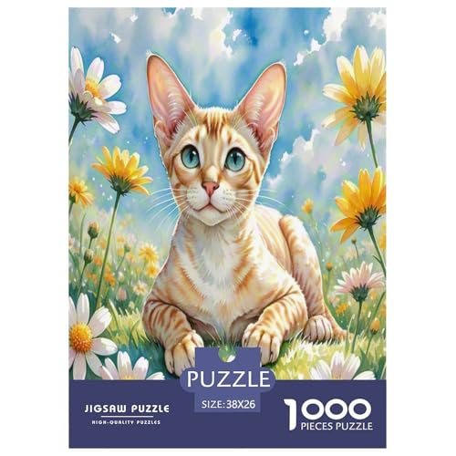 Peter die kahle Katze 1000 Teile Tier Puzzles Premium Quality Familienspiel - Home Room Decoration Erwachsene Und Kinder Buntes Spielzeug 38x26cm/1000pcs Peter die kahle Katze 1000 Teile Tier Puzzles Premium Quality Familienspiel - Home Room Decoration Erwachsene Und Kinder Buntes Spielzeug 38x26cm/1000pcs von MMDASBVPE