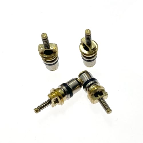 MNUHGYHD 10 stücke Klimaanlage Ventil Core for AC System Ventile for Citroen(10pcs) von MNUHGYHD