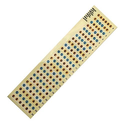 MOALIOI Gitarrenaufkleber zum Üben von Anfängern, geeignet für 6 akustische Elektrogeräte (Gitarre, mehrfarbig) von MOALIOI