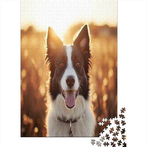 1000 Teile Hölzern Puzzle - Der Border Collie - 1000 Teile Puzzle Für Erwachsene Ab 14 Jahren 1000pcs (75x50cm) von MOBYAT