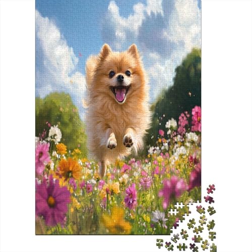 Pommern 1000 Stück Puzzles Für Erwachsene Teenager Stress Abbauen Familien-Puzzlespiel Mit Poster in 1000-teiliges Puzzle Lernspiel Spielzeug Geschenk Puzzel 1000pcs (75x50cm) von MOBYAT