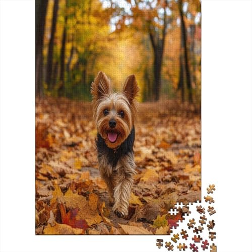 Puzzle 1000 Teile -, Yorkshire Terrier - Puzzle Für Erwachsene, Sonderedition [Exklusiv] 1000pcs (75x50cm) von MOBYAT