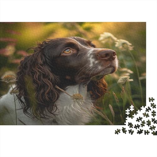 Puzzle 1000 Teile Springer Spaniel Puzzles Für Erwachsene Klassische Puzzles 1000 Teile Erwachsene Puzzles Schwer Erwachsene 1000 Teile 1000pcs (75x50cm) von MOBYAT