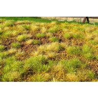 MODEL SCENE 30F533 Wiesenmatte Steppengras vertrocknet Spätsommer MODEL SCENE 30F533 Wiesenmatte Steppengras vertrocknet Spätsommer von MODEL SCENE