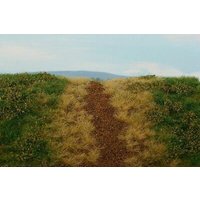 MODEL SCENE 30F551 Wiesenmatte Bahndamm Frühling von MODEL SCENE