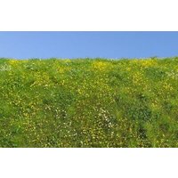 MODEL SCENE 30F561 Wiesenmatte Blühende Wiese Frühling MODEL SCENE 30F561 Wiesenmatte Blühende Wiese Frühling von MODEL SCENE