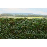 MODEL SCENE 30F620S Wiesenmatte mini Walduntergrund - Blaubeeren MODEL SCENE 30F620S Wiesenmatte mini Walduntergrund - Blaubeeren von MODEL SCENE