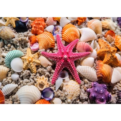 Puzzle 1000 Teile,Puzzle Erwachsene, EIN Herausforderndes Rätsel,Puzzlespiele für Die Ganze Familie,Geschenke für Frauen,Geschenke für Männer,Thema:Seestern und Muscheln von MOJIGE