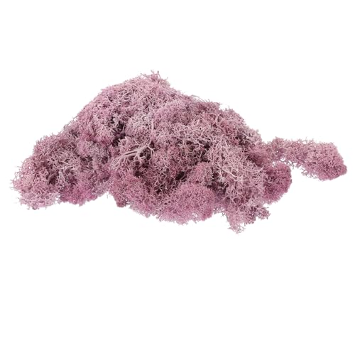 MOLUCKFU 1 Ewige Moos-mikrolandschaft Künstliches Grünes Moos Künstliches Moos Zum Basteln Mittelstücke Moosdekore Ewiges Moos Topfpflanzen Moosverzierung DIY Moos Violet Konservierte von MOLUCKFU