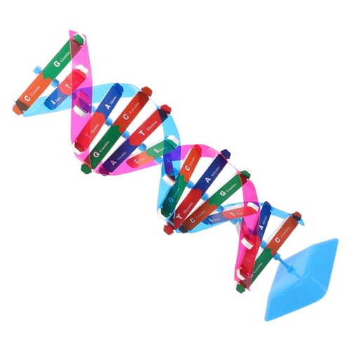 MOLUCKFU 1 Satz DNA-Modell Science Toys Wissenschaftliches wissenschaftliches Schreibtischspielzeug Bausatz Werkzeug schaufensterpuppe Doppelhelix-Modell DNA-Lehrmittel Metall von MOLUCKFU
