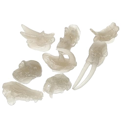 MOLUCKFU 1 Satz Dinosaurierknochenmodell PVC-dinosaurierknochen Nachtleuchtendes Dinosaurierschädel Lernspielzeug Für Kinder MOLUCKFU 1 Satz Dinosaurierknochenmodell PVC-dinosaurierknochen Nachtleuchtendes Dinosaurierschädel Lernspielzeug Für Kinder von MOLUCKFU