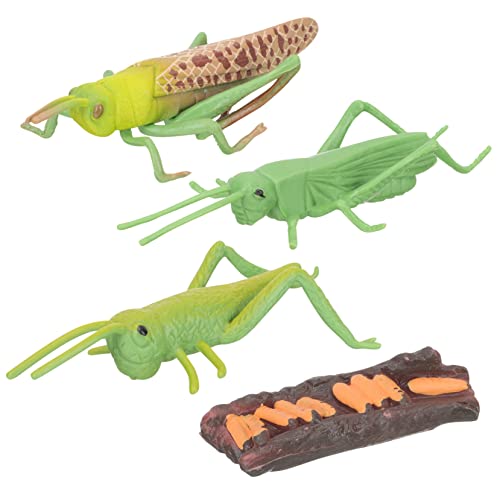 MOLUCKFU 1 Set Heuschrecken Wachstumszyklus Tiermodell Spielzeug, Pädagogische Tierzyklus Figuren, Tier Lebenszyklus Modell, Simuliertes Tiermodell, Tier Lebenszyklus Spielzeug, Tier MOLUCKFU 1 Set Heuschrecken Wachstumszyklus Tiermodell Spielzeug, Pädagogische Tierzyklus Figuren, Tier Lebenszyklus Modell, Simuliertes Tiermodell, Tier Lebenszyklus Spielzeug, Tier von MOLUCKFU