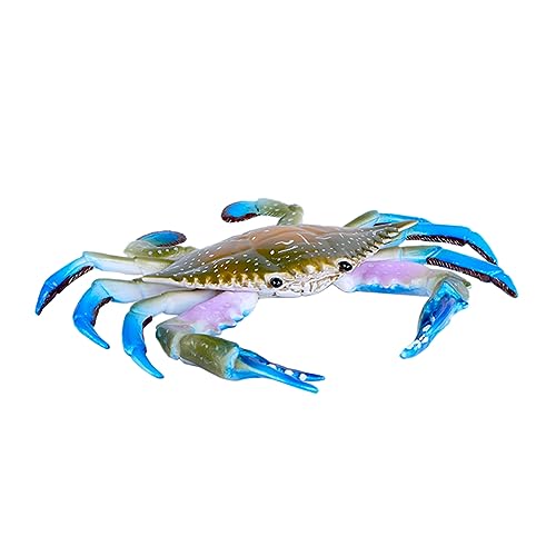 MOLUCKFU 1 Stück Simulation Krabbenmodell Nautisches Miniaturtiere Krabbenstatue Krabbenfigur Künstliches Krabbenmodell Lernspielzeug Meeresleben Tiere Figuren Küstendekor Kunststoff von MOLUCKFU