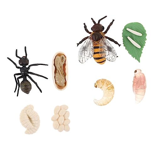 MOLUCKFU Satz Für Kinder Mit Lebenszyklus Figuren Simulationsmodelle Von Bienen Und Ameisen Lernspielzeug Aus Plastik Einfach Zu Reinigen MOLUCKFU Satz Für Kinder Mit Lebenszyklus Figuren Simulationsmodelle Von Bienen Und Ameisen Lernspielzeug Aus Plastik Einfach Zu Reinigen von MOLUCKFU