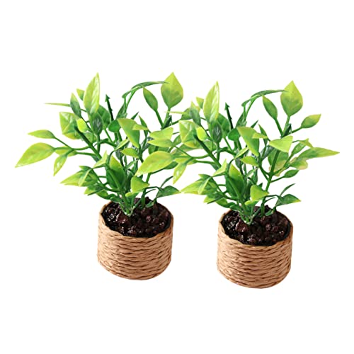MOLUCKFU Pflanzen 2 Miniaturpflanzen Für Puppenhäuser Künstliche Topfpflanzen Lebendigen Farben Ideal Für Garten Deko Und Zubehör Für Und Baustellen Szenarien MOLUCKFU Pflanzen 2 Miniaturpflanzen Für Puppenhäuser Künstliche Topfpflanzen Lebendigen Farben Ideal Für Garten Deko Und Zubehör Für Und Baustellen Szenarien von MOLUCKFU