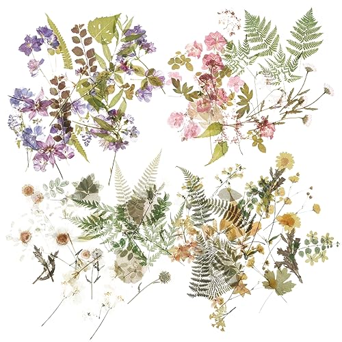 MOLUCKFU 4 Set Pflanzen Serie Aufkleber Pack für Scrapbooking Cartoon Aufkleber Set Hand Aufkleber Dekorative Aufkleber MOLUCKFU 4 Set Pflanzen Serie Aufkleber Pack für Scrapbooking Cartoon Aufkleber Set Hand Aufkleber Dekorative Aufkleber von MOLUCKFU