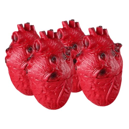 MOLUCKFU 4 Stück Teiliges Halloween Blutiges Herzmodell Realistische Menschliche Organ Simulation Gruselige Körperteil Dekoration für Zombie Party Horror Requisiten Festdeko von MOLUCKFU