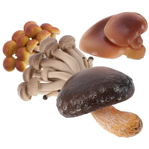 MOLUCKFU 4 Teiliges Set Mit Simuliertem Wachstumszyklus Und Pilzwachstumszyklus, Spielzeugmodell Für Die Früherziehung Von Kindern, Wissenschaft Und Bildung, Lehrrequisiten, von MOLUCKFU