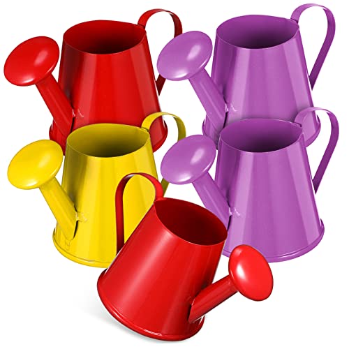 MOLUCKFU 5St Mini-Gießkanne große Gießkanne Wasserkanister für bestreuen Wunder Gießkanne für Handwerk giesskanne kindergiesßkanne Kleiner Gießeimer gießkanne Eisen MOLUCKFU 5St Mini-Gießkanne große Gießkanne Wasserkanister für bestreuen Wunder Gießkanne für Handwerk giesskanne kindergiesßkanne Kleiner Gießeimer gießkanne Eisen von MOLUCKFU
