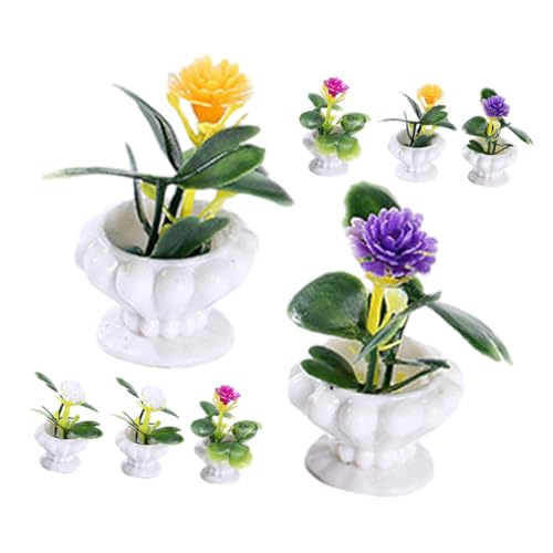 MOLUCKFU 8 Stück Mini Pflanzenornament, Mini Hauszubehör, Simulierte Bonsai Gartenminiaturen, Mini Garten Bonsai, Miniatur Landschaftsdekor, Mini Landschaftsrequisite, Mini MOLUCKFU 8 Stück Mini Pflanzenornament, Mini Hauszubehör, Simulierte Bonsai Gartenminiaturen, Mini Garten Bonsai, Miniatur Landschaftsdekor, Mini Landschaftsrequisite, Mini von MOLUCKFU