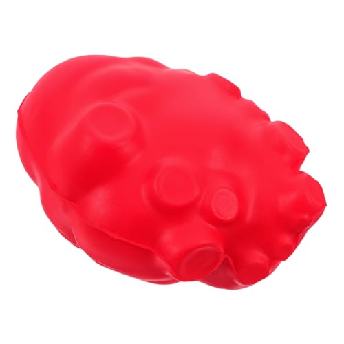 MOLUCKFU Anatomisches Herzmodell für Unterricht Simuliertes Organmodell für Lehre für Klassenzimmer und Medizinische Realistische Darstellung der Menschlichen Herzstruktur Umfassendes MOLUCKFU Anatomisches Herzmodell für Unterricht Simuliertes Organmodell für Lehre für Klassenzimmer und Medizinische Realistische Darstellung der Menschlichen Herzstruktur Umfassendes von MOLUCKFU
