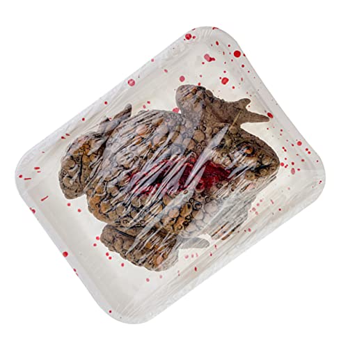 MOLUCKFU Halloween Party Favors Trick Witz Dekoration Realistische Kröte Tablett Scary Mahlzeit Box für Spukhaus Prop von MOLUCKFU