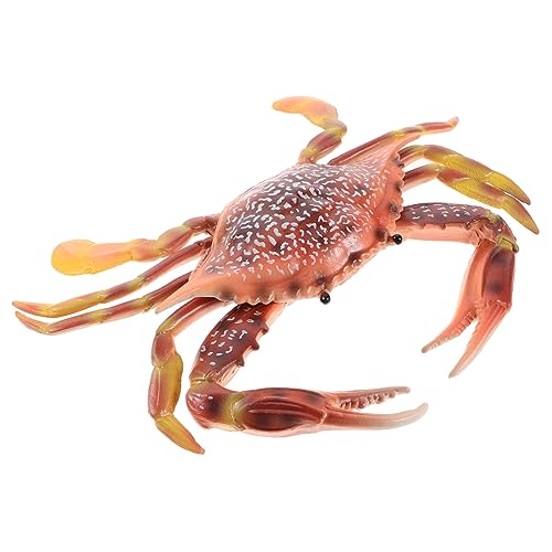 MOLUCKFU Schwimmkrabbenmodell Lebensechte Krabbe Aus Kunststoff Realistisches Krabbenspielzeug Entzückende Simulationskrabbe Für Heim Und Schreibtischdekoration von MOLUCKFU