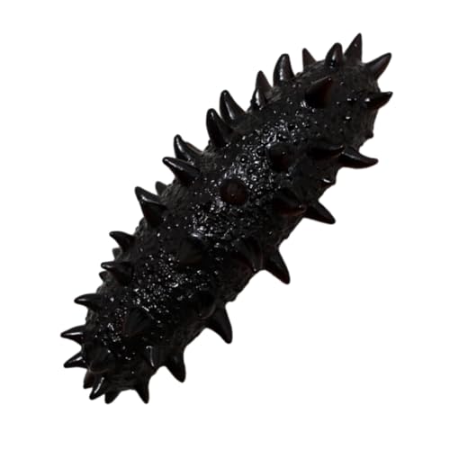 MOLUCKFU Künstliche Seegurke, Lebensmitteldekor, Fotografie Requisite, Gefälschte Seegurke, Meeresfrüchte Modell, Desktop Seegurke, Tier Kognitionsmodell, Seegurken Modell, Lebensechte MOLUCKFU Künstliche Seegurke, Lebensmitteldekor, Fotografie Requisite, Gefälschte Seegurke, Meeresfrüchte Modell, Desktop Seegurke, Tier Kognitionsmodell, Seegurken Modell, Lebensechte von MOLUCKFU