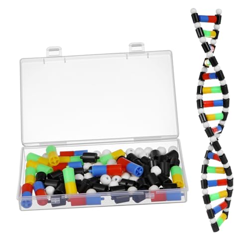 MOLUCKFU Lehrmodell DNA Doppelhelix DNA Molekülmodell DNA Strangmodell DNA Spielzeug DNA Modell Für DNA Modelle Für Die Hochschule DNA Modell Kinder Doppelhelix Spielzeug von MOLUCKFU