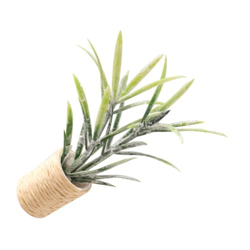 MOLUCKFU Mini-modellbaum Pflanze Künstlich Miniatur Garten Deko Schreibtischornament Bonsai Modell Zimmerdeko MOLUCKFU Mini-modellbaum Pflanze Künstlich Miniatur Garten Deko Schreibtischornament Bonsai Modell Zimmerdeko von MOLUCKFU