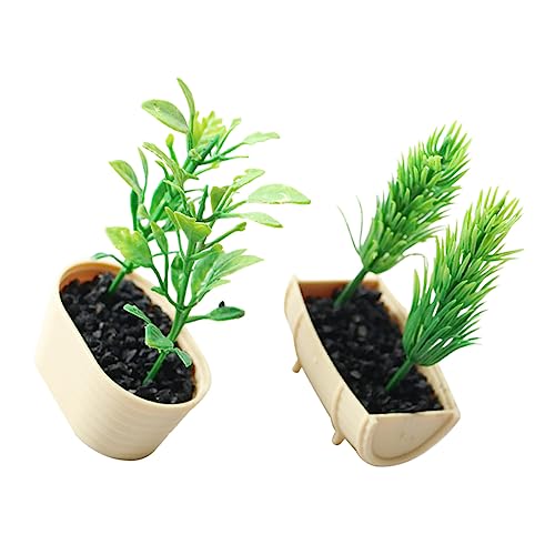 MOLUCKFU Simulation Einer Grünen Topfpflanze Miniaturpflanze Für Puppenhaus Mini-gartenpflanze Spielzeug Dekoration Für Schreibtisch Und Fensterbank von MOLUCKFU