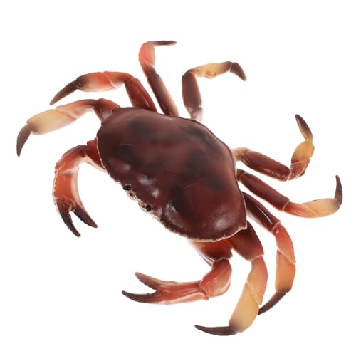 MOLUCKFU Realistische Krabbenmodelle Simuliertes Krabbenmodell Kleine Krabbendekoration Kleine Krabbenfiguren Modell Krabbensimulation Krabbenfigur Krabbenfigur Modell Realistisches von MOLUCKFU