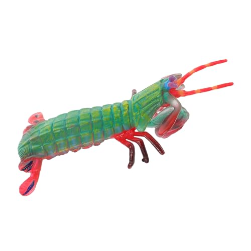 MOLUCKFU Realistisches Mantis Shrimp Modell Spieltier Figur Simulation Meeresbewohner Lernspielzeug Detaillierte Nachbildung Große Garnelen Dekoration Pädagogisches von MOLUCKFU