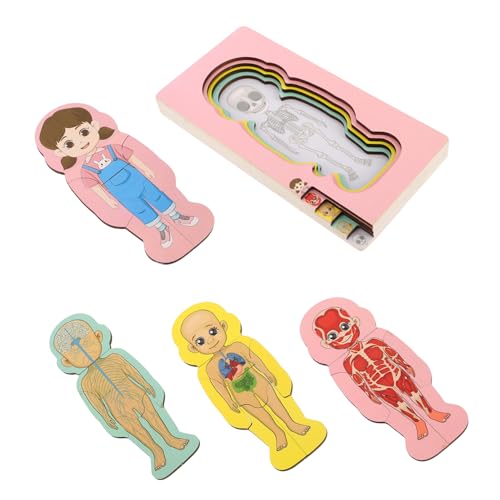 MOLUCKFU Familienspielset Kinder Holz Menschlicher Körper Anatomie-Puzzle Organe Frühes Lernspielzeug Für Kleinkinder MOLUCKFU Familienspielset Kinder Holz Menschlicher Körper Anatomie-Puzzle Organe Frühes Lernspielzeug Für Kleinkinder von MOLUCKFU