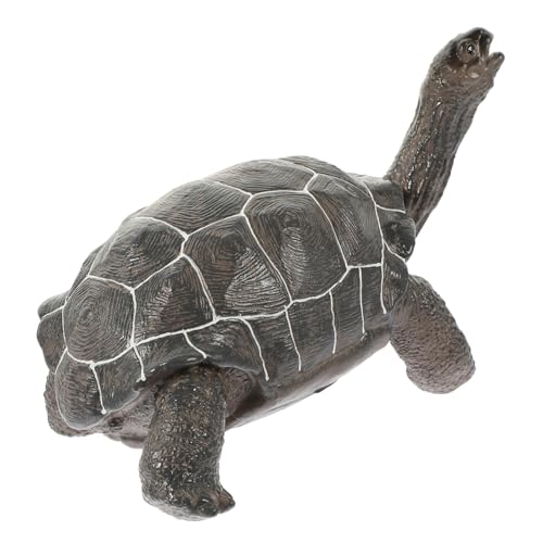 MOLUCKFU Schildkrötendekorationsimulation Realistische Schildkrötenfiguren Simulation Turtle Schmücken Vinyl Tierfiguren Turtle Ornament Simulation Tiermodell Tier Figuren Spielzeugschildkröte MOLUCKFU Schildkrötendekorationsimulation Realistische Schildkrötenfiguren Simulation Turtle Schmücken Vinyl Tierfiguren Turtle Ornament Simulation Tiermodell Tier Figuren Spielzeugschildkröte von MOLUCKFU