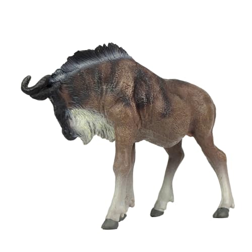MOLUCKFU Simulation Tierfigur Lebendige Dekoration für Pädagogisches und Wohnaccessoire Realistisches Modell für Kreative Gestaltung und Geschenkidee MOLUCKFU Simulation Tierfigur Lebendige Dekoration für Pädagogisches und Wohnaccessoire Realistisches Modell für Kreative Gestaltung und Geschenkidee von MOLUCKFU
