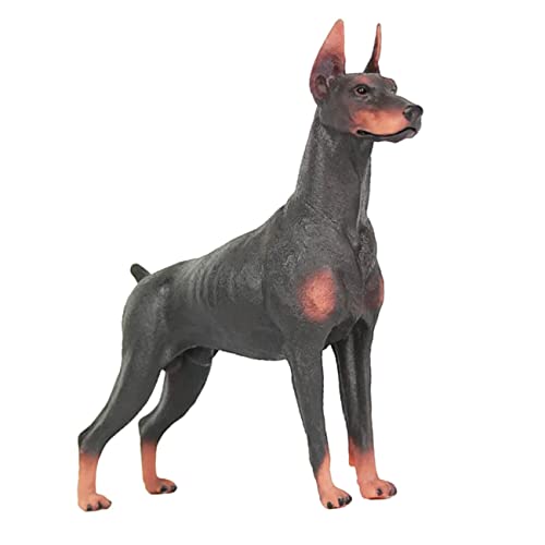 MOLUCKFU Simulationstiermodell Hund Spielzeug Dobermann-Modell Tierfigur Für Kinder Kunststoff Hundemodell Realistisches Spielzeug Für Zuhause MOLUCKFU Simulationstiermodell Hund Spielzeug Dobermann-Modell Tierfigur Für Kinder Kunststoff Hundemodell Realistisches Spielzeug Für Zuhause von MOLUCKFU