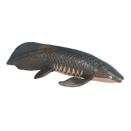 MOLUCKFU Simulierter Arapaima kinderzimmerdeko hühner eincremehilfe Decor Simulation von Fischmodellen Meerestierspielzeug Plastikfischmodellspielzeug Simulation Fischverzierung MOLUCKFU Simulierter Arapaima kinderzimmerdeko hühner eincremehilfe Decor Simulation von Fischmodellen Meerestierspielzeug Plastikfischmodellspielzeug Simulation Fischverzierung von MOLUCKFU