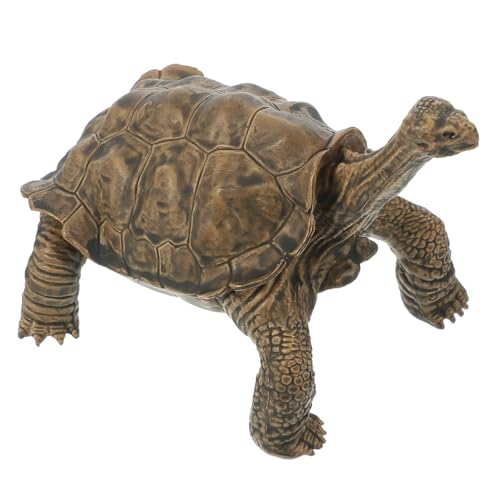 MOLUCKFU Spielzeug Schildkrötenfiguren, Simulationsschildkrötenfigur, Kleine Schildkröten, Schildkrötenfiguren, Simulationsschildkrötenfigur, Miniatur Meerestierfiguren, Simulierte MOLUCKFU Spielzeug Schildkrötenfiguren, Simulationsschildkrötenfigur, Kleine Schildkröten, Schildkrötenfiguren, Simulationsschildkrötenfigur, Miniatur Meerestierfiguren, Simulierte von MOLUCKFU