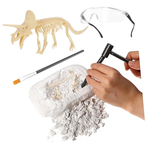 MOLUCKFU bastelset basteln für sankastenspielsachen Kinderbildung bastelmaterial für Kid Toys Dinosaurier-Kit Ausgrabungssets für Dinosaurier Grabsets Plastik MOLUCKFU bastelset basteln für sankastenspielsachen Kinderbildung bastelmaterial für Kid Toys Dinosaurier-Kit Ausgrabungssets für Dinosaurier Grabsets Plastik von MOLUCKFU