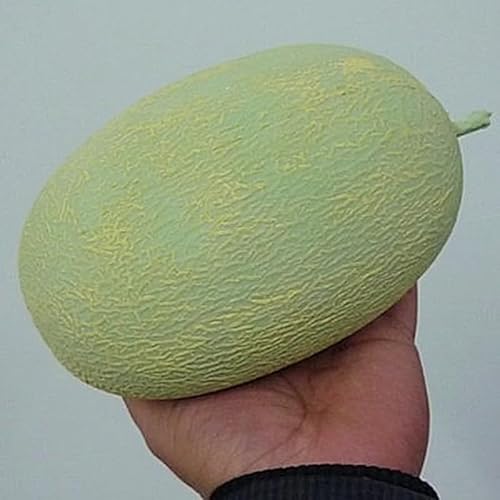 MOMOMAGE 1 x Latex-Hami-Melonen-Zaubertricks, lebensechte Gummi-Melone, erscheint gefälschte Obstproduktion, magische Bühnenillusionen, Gimmicks, lustige Requisiten von MOMOMAGE