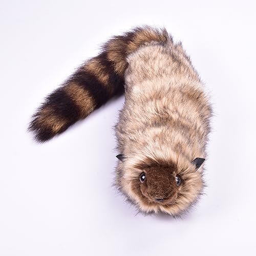 MOMOMAGE The Rocky Raccoon Robbie Magic Tricks Appearing Animal Magic Stage Street Illusions Gimmick Props Funny Magic MOMOMAGE The Rocky Raccoon Robbie Magic Tricks Appearing Animal Magic Stage Street Illusions Gimmick Props Funny Magic von MOMOMAGE