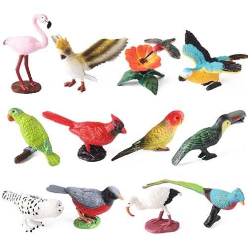 MOONDAME Vogel Figuren Set Modell Papagei Kolibris Dekore Display Spielzeug Schreibtisch Dekore Kinder Bildung Beobachtung Spielzeug MOONDAME Vogel Figuren Set Modell Papagei Kolibris Dekore Display Spielzeug Schreibtisch Dekore Kinder Bildung Beobachtung Spielzeug von MOONDAME