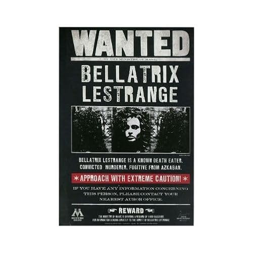 MORIARTY ART PROJECT Softcover-Notizbuch Wanted Bellatrix A5 von Moriarty Art Project