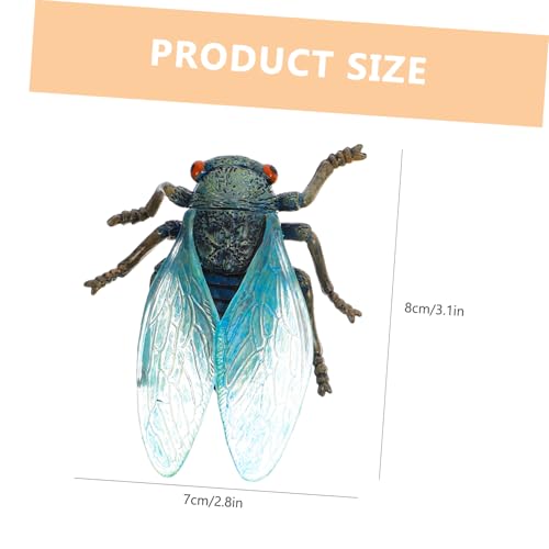 MOTHNUR Cicada Lebenszyklus Modell Realistische Wachstumsphase Robuste Lernspielzeug Deko für Pädagogisches Evolutionsmodell mit Feinen Details und Vielseitiger Nutzung von MOTHNUR