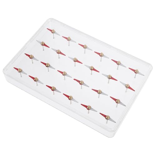 MOTHNUR Magnetischer Molekülmodell Bausatz mit Kleinen Magnetnadeln zur Darstellung Magnetischer Feldlinien Wissenschaftliches Lernset für Schüler zur Experimentellen Magnetismus MOTHNUR Magnetischer Molekülmodell Bausatz mit Kleinen Magnetnadeln zur Darstellung Magnetischer Feldlinien Wissenschaftliches Lernset für Schüler zur Experimentellen Magnetismus von MOTHNUR